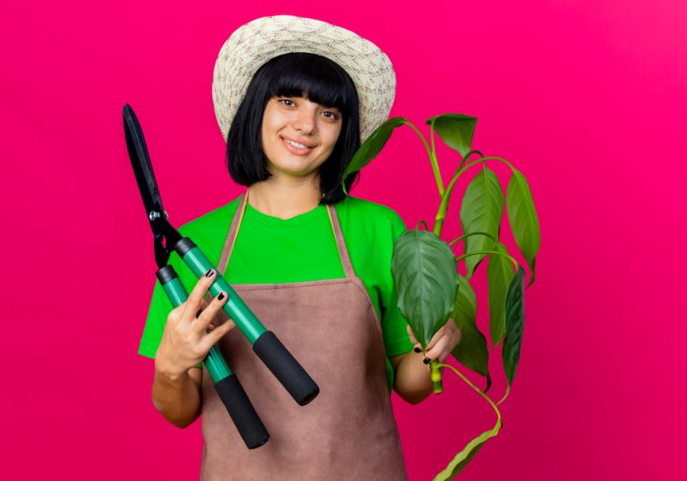 Sprinkling Success: The Art of Irrigation System Maintenance